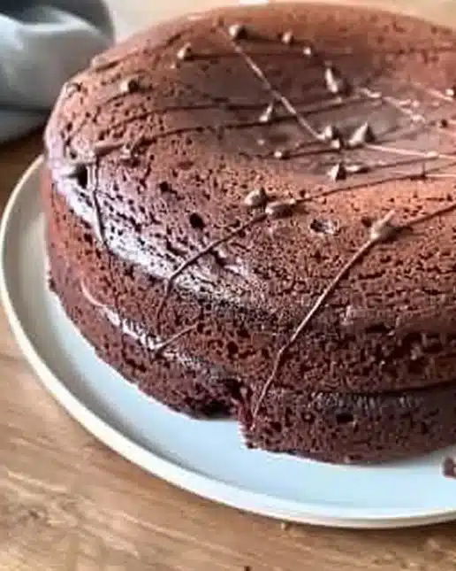 Gâteau au chocolat sans matière grasse ajoutée, moelleux et délicieux
