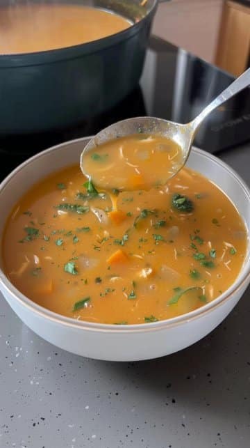 Soupe de poulet aux légumes