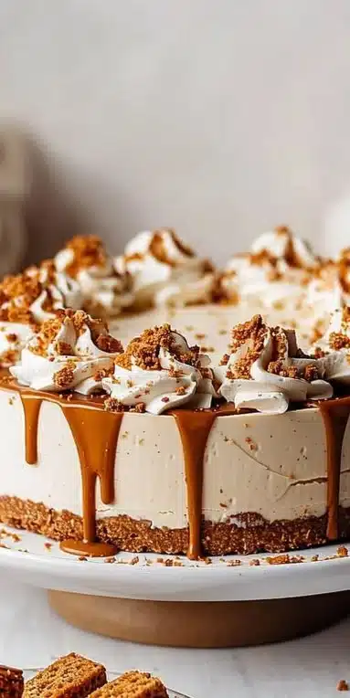 Cheesecake froid aux spéculoos sur assiette avec garniture