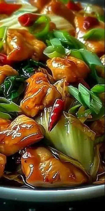 Plat de Poulet Chinois Sauté au Chou présenté sur une assiette